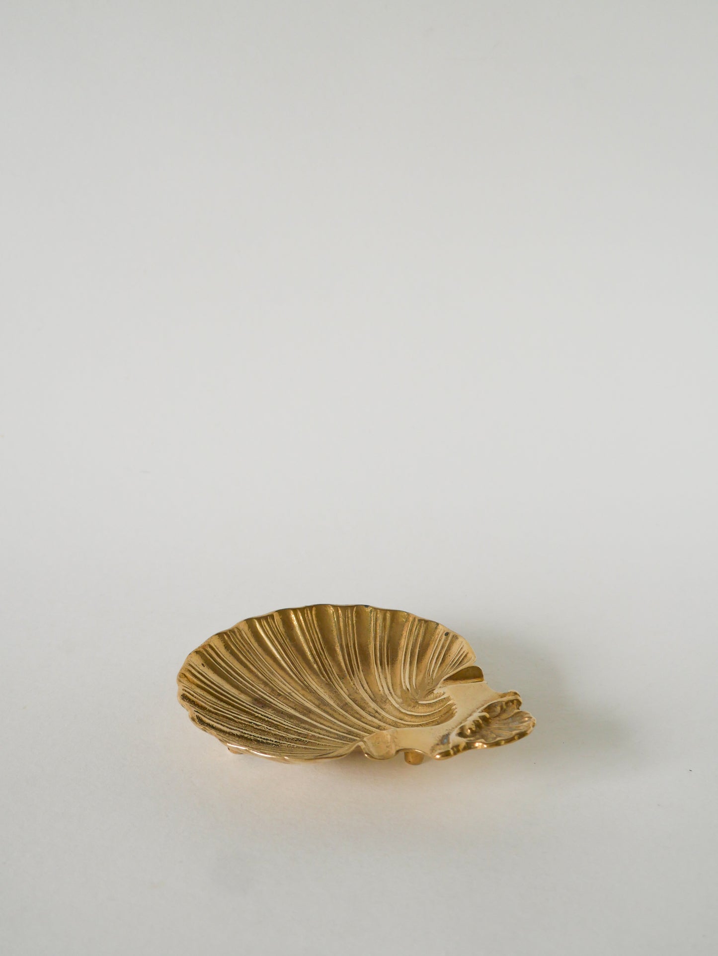 Vide-poche Coquillage en laiton, 1950