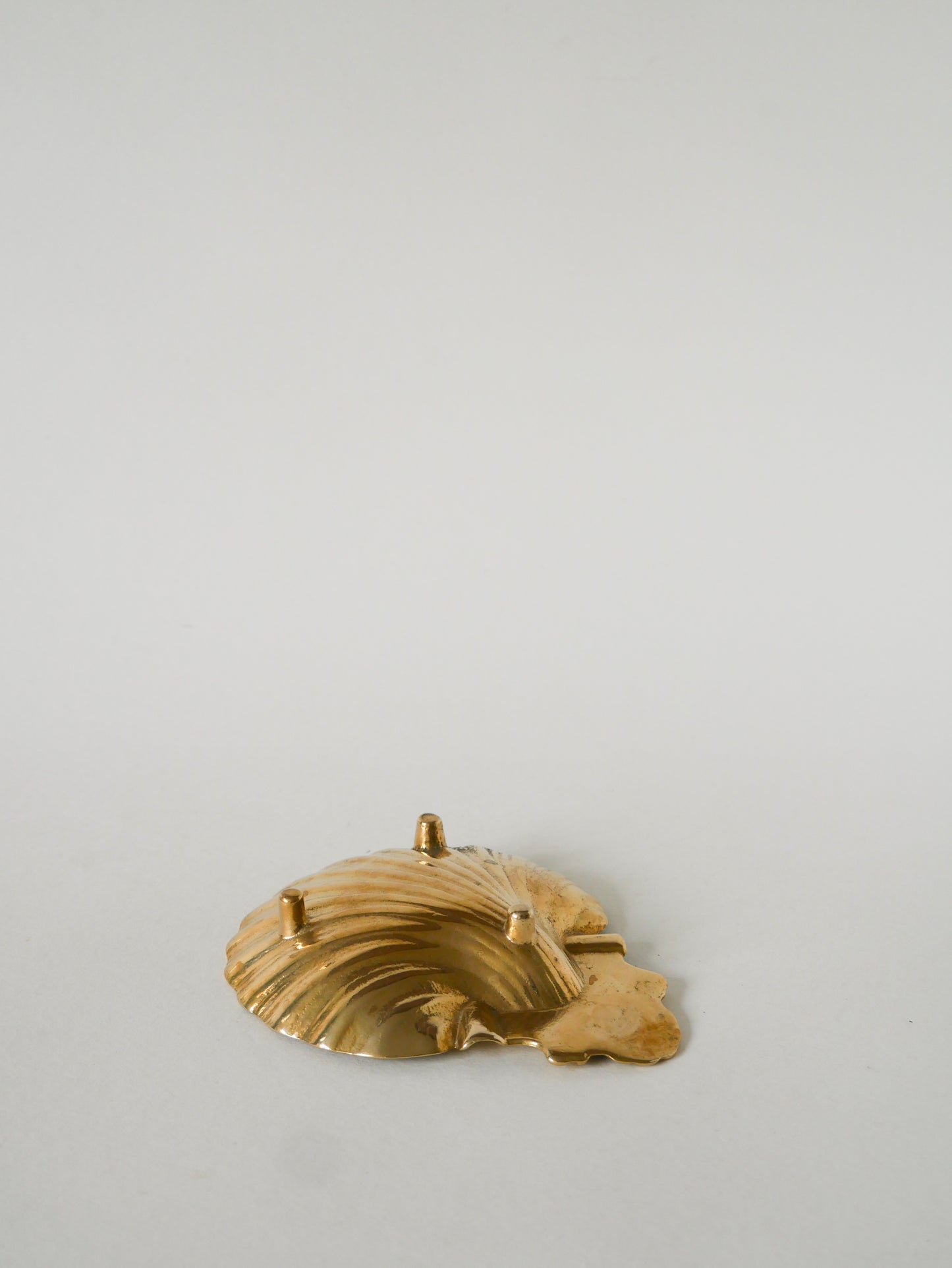 Vide-poche Coquillage en laiton, 1950