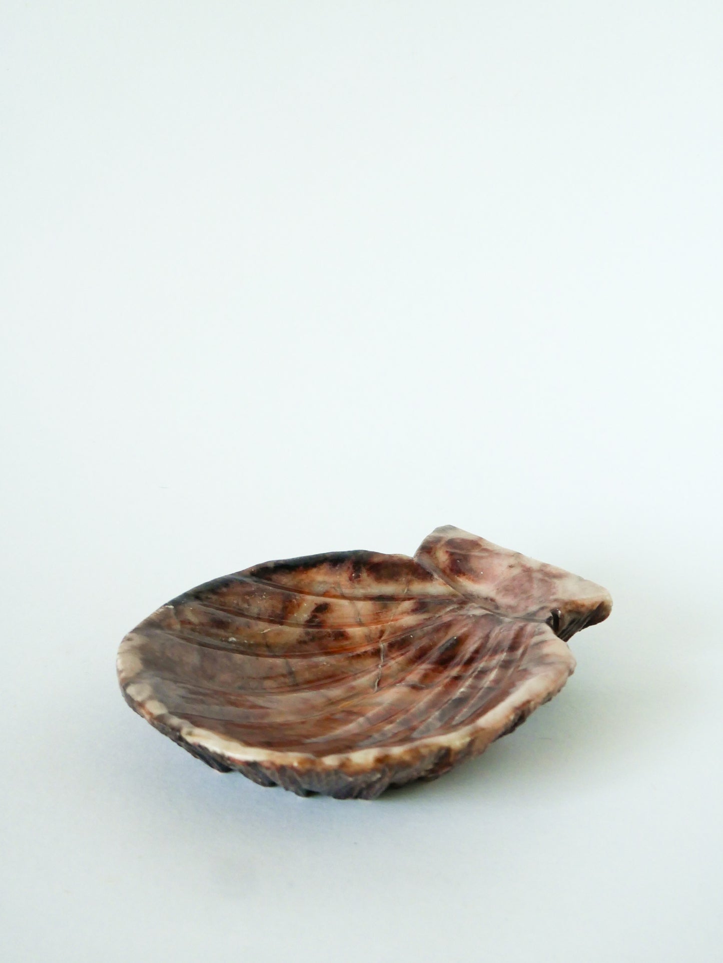 Grand vide-poche en albâtre en forme de coquillage, 1970
