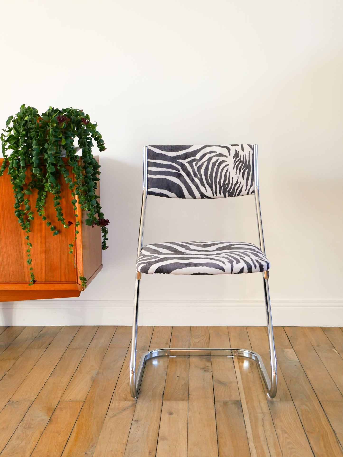 Chaise piètement en chrome et retapissée en velours, Zèbre, Design,1970