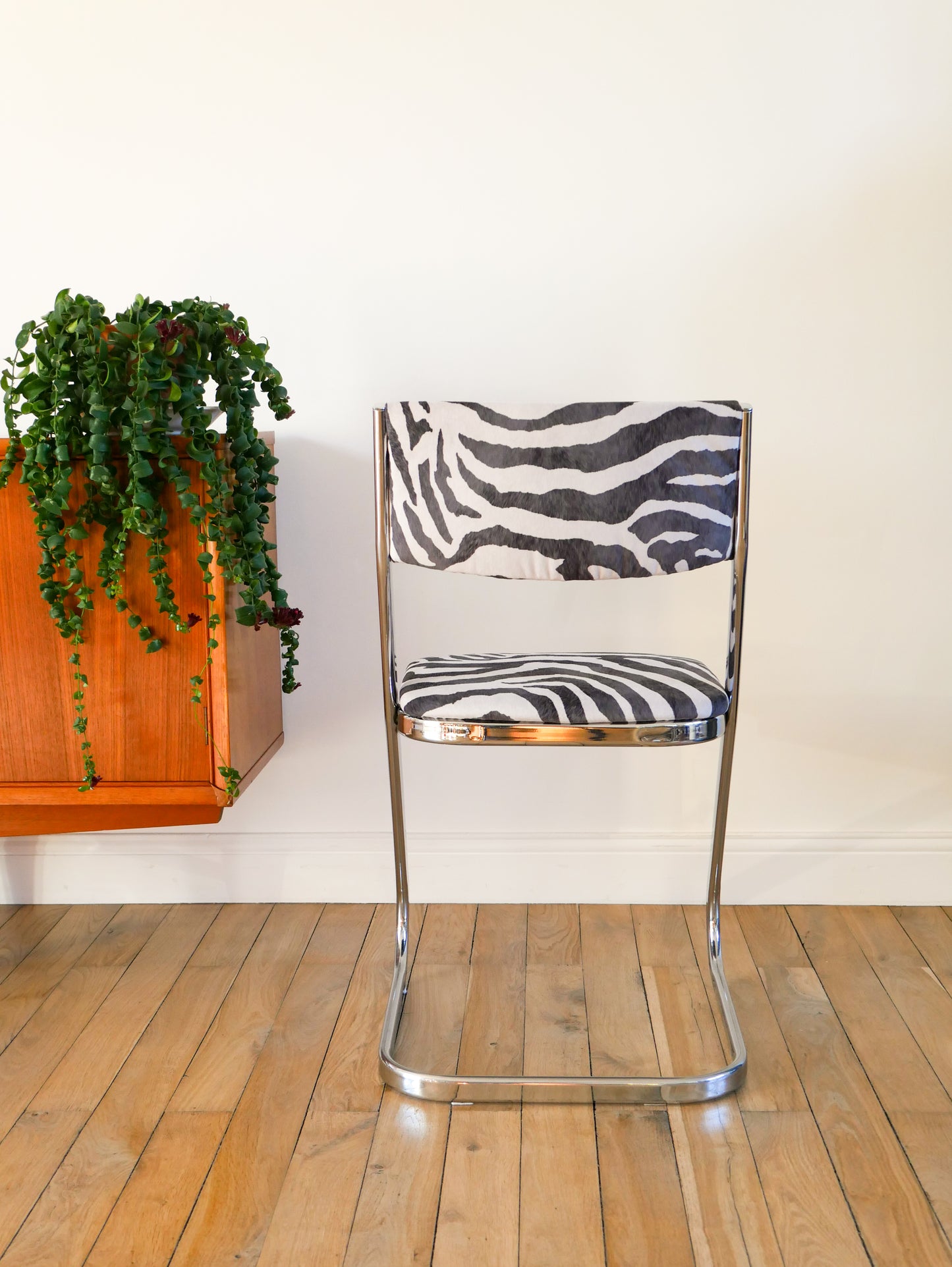 Chaise piètement en chrome et retapissée en velours, Zèbre, Design,1970