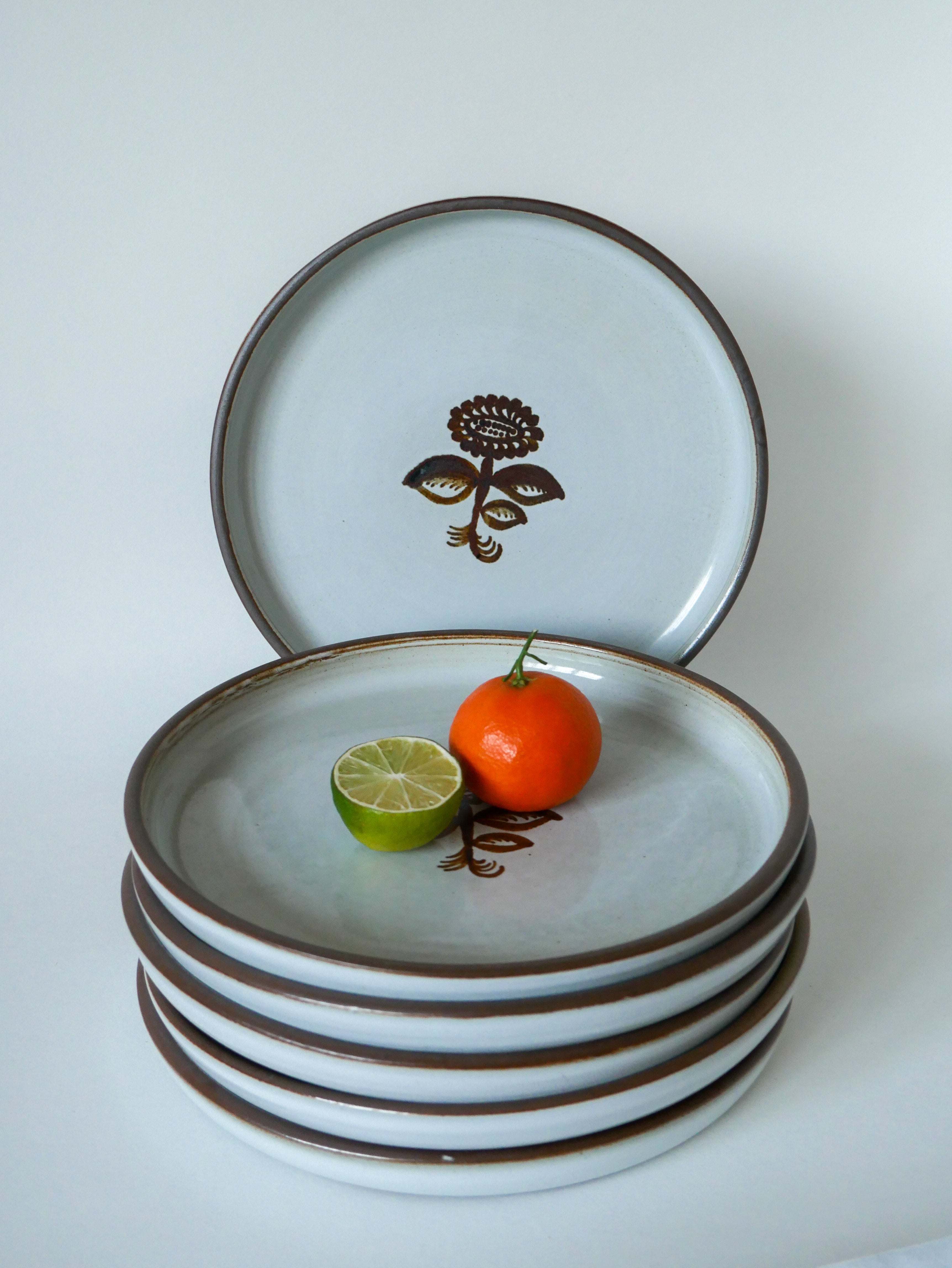 Lot De 6 Assiettes Plates En Grès - Motif Floral - Diamètre 21-25 Cm - Occasion