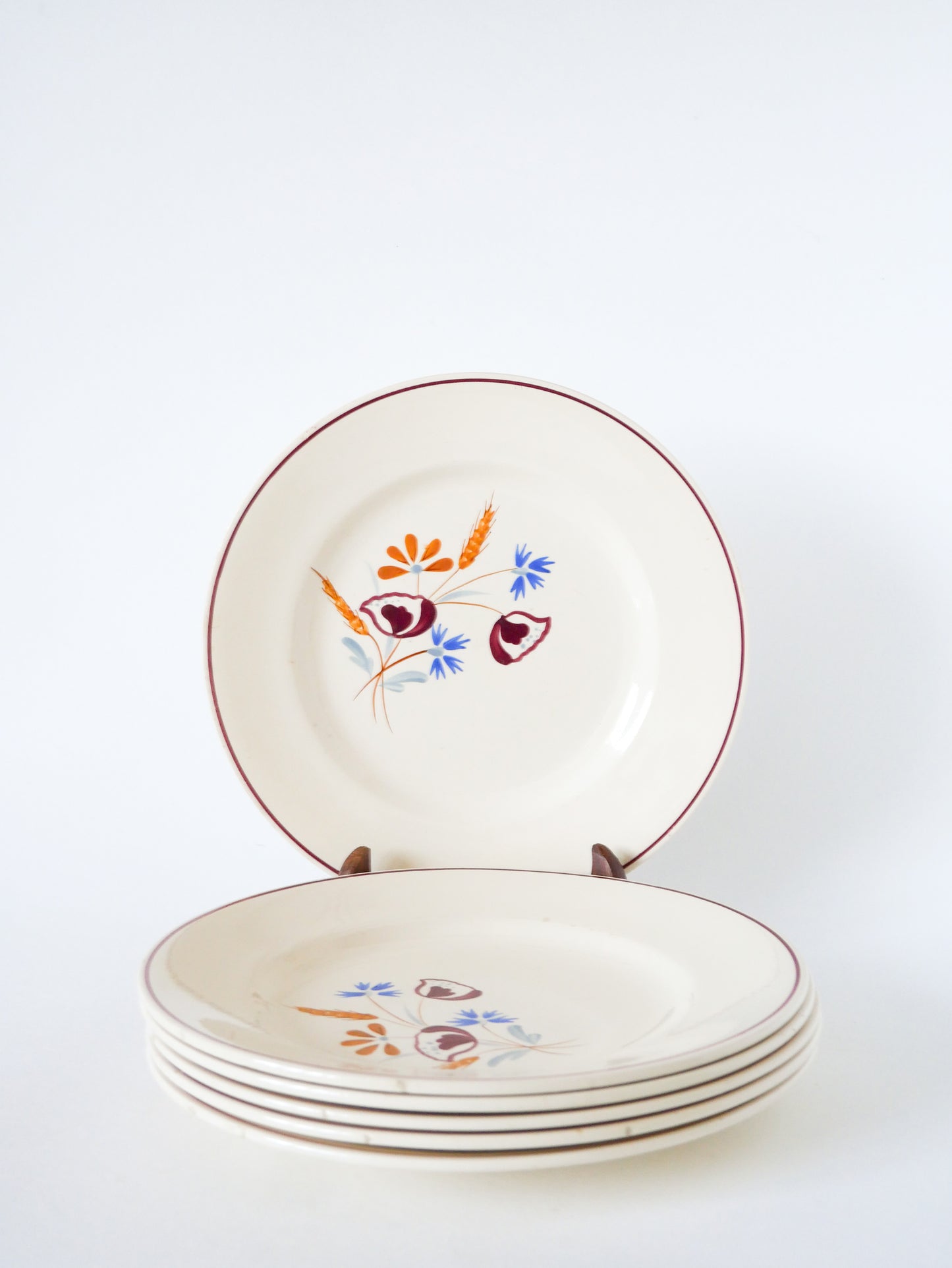 Lot de 6 assiettes plates Salins, motifs Fleurs peintes à la main, 1950